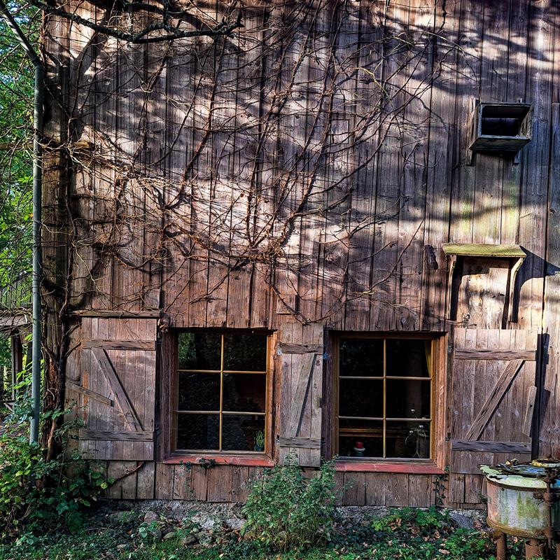 Sommerhus - 5 personer -  - Garvensdorfer Hofstraße - 18233 - Carinerland