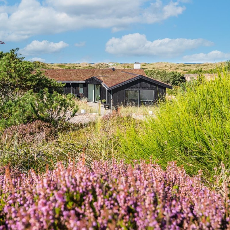 Sommerhus - 6 personer -  - Timianvej - 6854 - Henne Strand