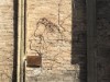 Bild 8 - Ude
