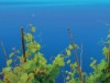 Image 14
