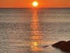 Bild 83