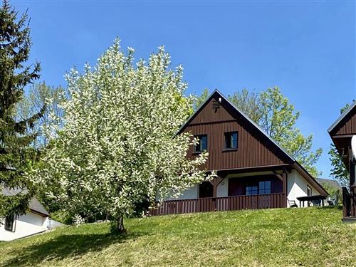 Feriehus / leilighet - 6 personer -  - Cerny Dul/Cista - 543 44