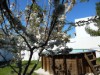 Bild 22 - Ude
