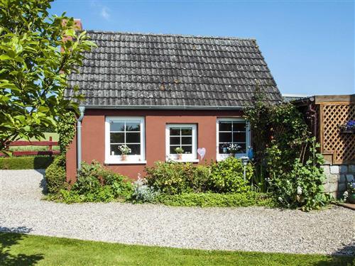 Ferienhaus - 2 Personen -  - Goldhöft - 24395 - Gelting