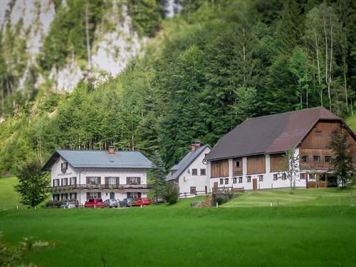 Ferienhaus - 17 Personen -  - Mendling - 3345 - Göstling An Der Ybbs