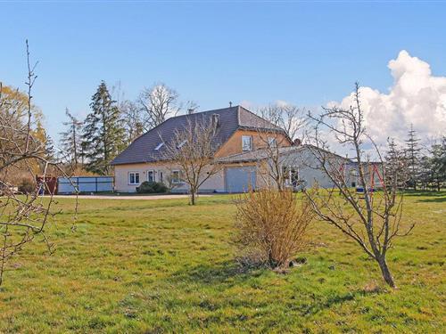 Ferienwohnung - 8 Personen -  - Friedrichshof - 17091 - Zwiedorf