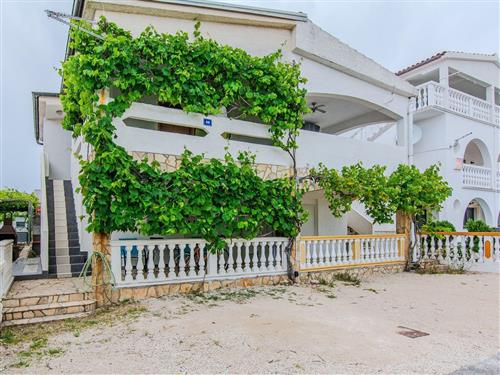 Ferielejlighed - 4 personer -  - Prezida XVII - 23234 - Vir