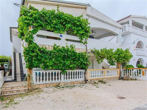 Holiday apartment - 4 persons -  - Prezida XVII - 23234 - Vir