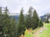 Bild 17