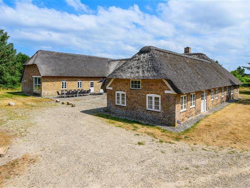 Sommerhus - 14 personer -  - Tyttebærvej - Vedersø Klit - 6990 - Ulfborg