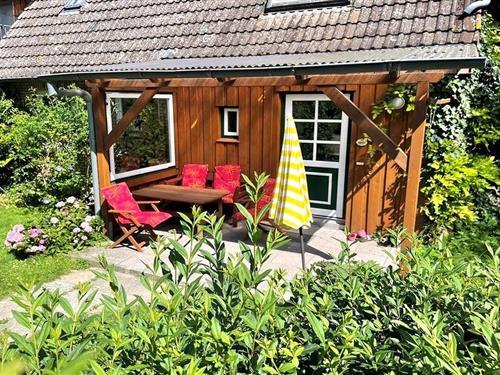 Ferielejlighed - 4 personer -  - Masselberg - 23738 - Schwienkuhl