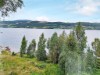 Bild 51 - Ude