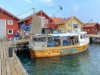 Billede 10