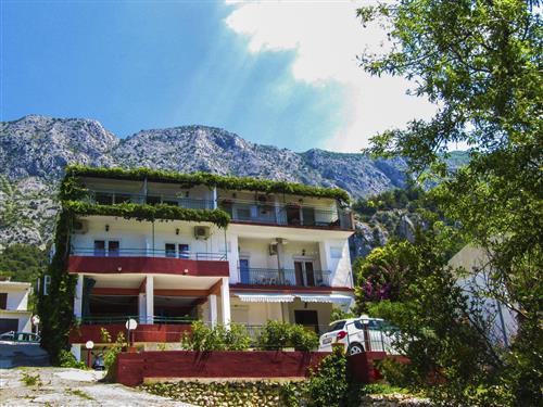 Holiday apartment - 3 persons -  - Živogošce Porat - 21327 - Podgora