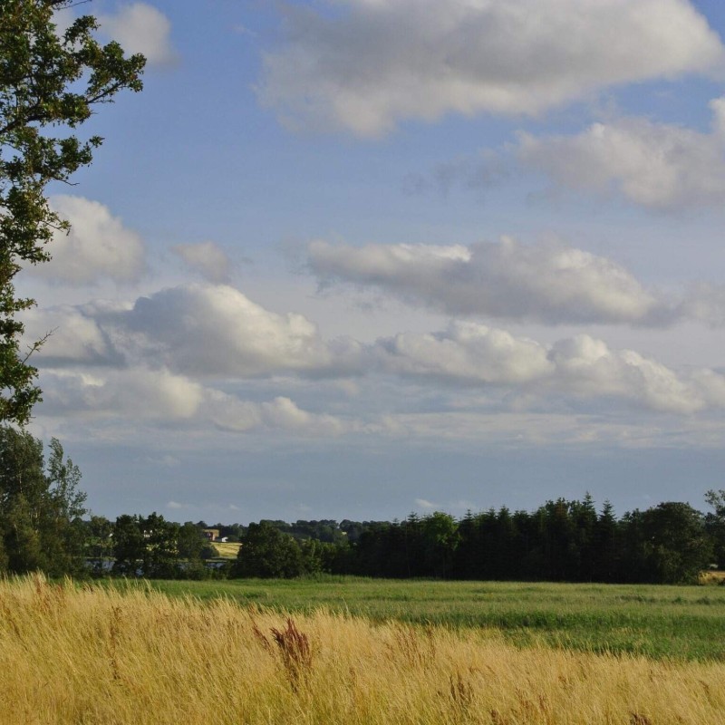 Ferienhaus - 6 Personen -  - Havnevej 7, Lej. - Hejlsminde - 6094 - Hejls