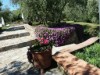 Image 9 - Outside