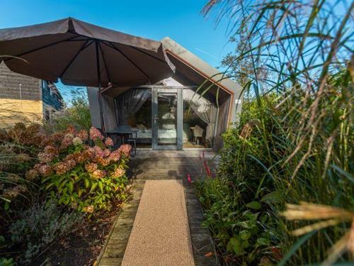 Sommerhus - 2 personer -  - 7946LX - Wanneperveen