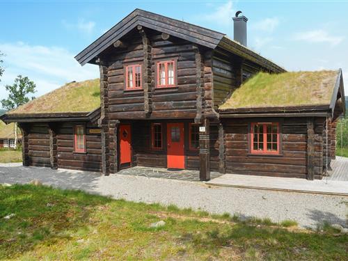 Sommerhus - 14 personer -  - Storhaugvegen - Vierli - 3864 - Rauland