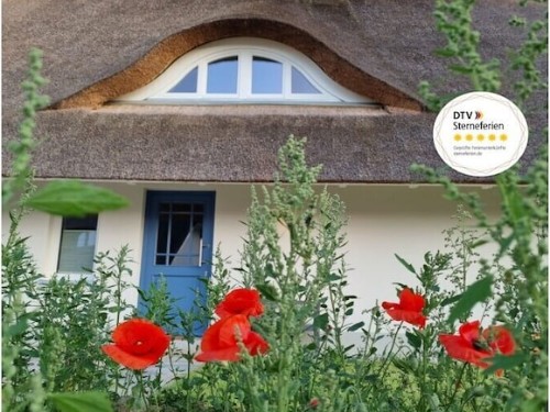 Sommerhus - 8 personer -  - 18233 - Am Salzhaff