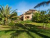 Billede 40