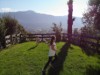 Billede 16