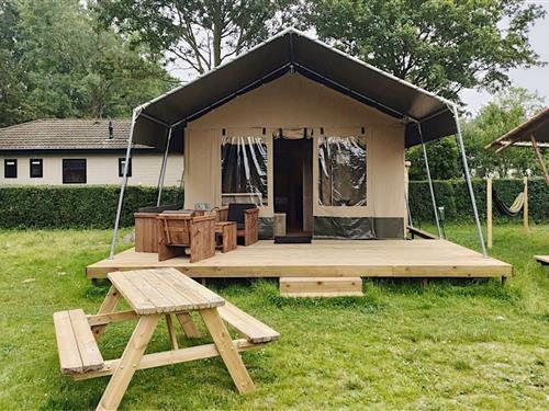 Glampingtält - 6 personer -  - 1723PX - Noord-Scharwoude