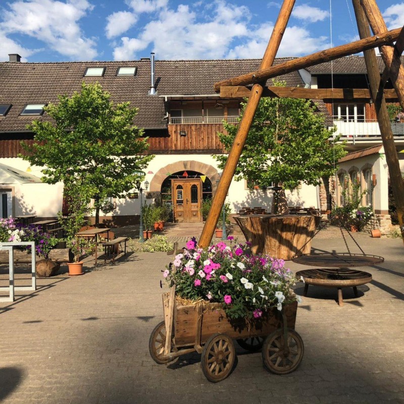 Ferielejlighed - 2 personer -  - Am Felswäldchen - 66687 - Wadern