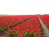 Bild 19