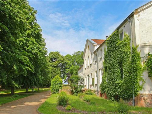 Semesterhus/Semesterlägenhet - 2 personer -  - Am Nationalpark - Ankershagen Ot Friedrichsfelde - 17219 - Ankershagen Ot Friedri