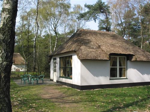 Sommerhus - 4 personer -  - 5373KL - Herpen