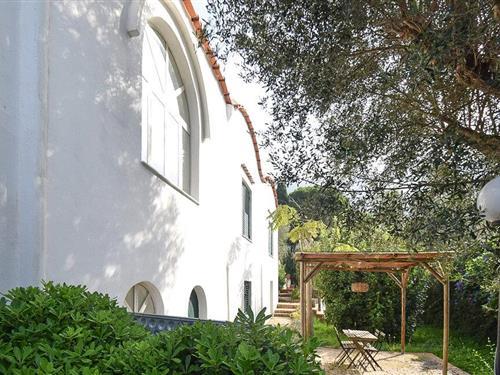 Sommerhus - 8 personer -  - Traversa Follicara snc - Capri - 80071 - Anacapri