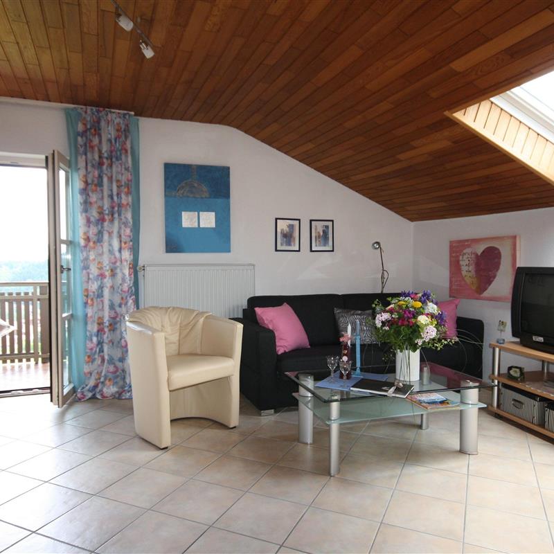 Ferielejlighed - 2 personer -  - Steinzenweg - 94244 - Geiersthal