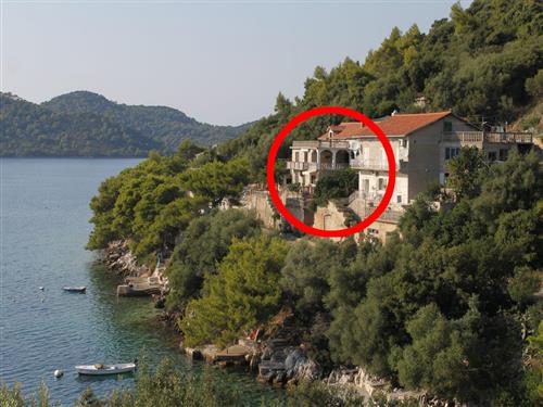 Holiday apartment - 6 persons -  - Dragovoda 26, Ubli - 20290 - Lastovo