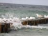 Bild 22