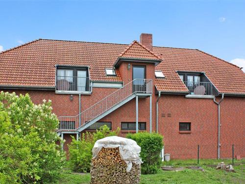 Ferieleilighet - 2 personer -  - Strelitzer Str. - 17237 - Userin