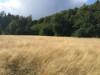 Bilde 7 - Ude