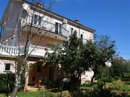 Ferielejlighed - 2 personer -  - Krk/Njivice - 51512