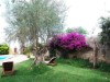 Bild 22