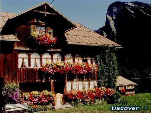 Sommerhus - 6 personer -  - Argenzipfel - 6883 - Au