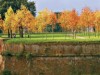 Bild 21