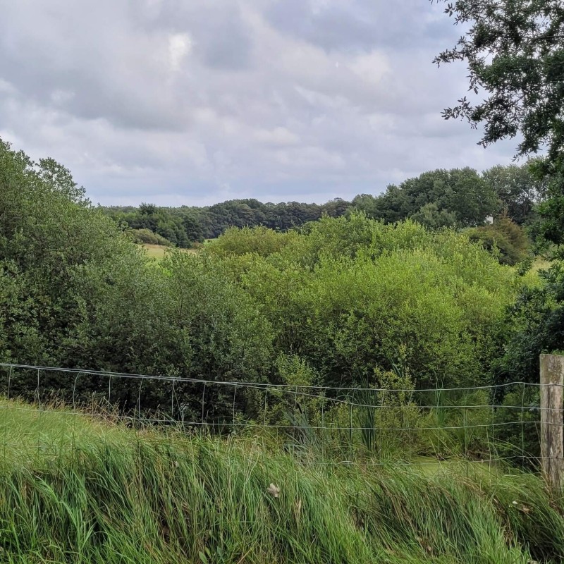 Sommerhus - 6 personer -  - Torpet - 6682 - Hovborg