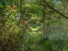 Billede 18 - Område