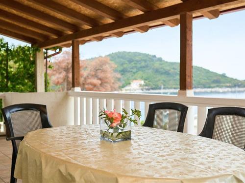 Ferieleilighet - 4 personer -  - Saplunara - Mljet-Saplunara - 20224 - Saplunara