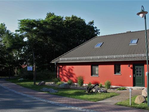 Semesterhus/Semesterlägenhet - 4 personer -  - Am Pappelwald - 18551 - Glowe