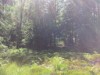 Bild 5 - Ude