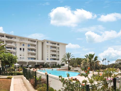 Ferieleilighet - 4 personer -  - avenue de Cannes - 06600 - Antibes