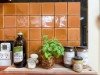 Bild 11 - Inde