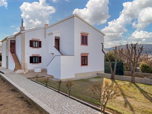 Holiday apartment - 4 persons -  - ul. Zrtava Fasizma - Pag-Pag - 23250 - Pag