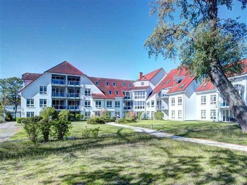 Feriehus / leilighet - 4 personer -  - Ostseeallee - 23946 - Boltenhagen