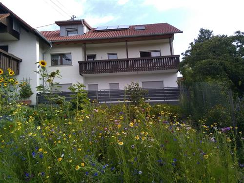 Ferienwohnung - 4 Personen -  - Kirchweg - 88697 - Bermatingen